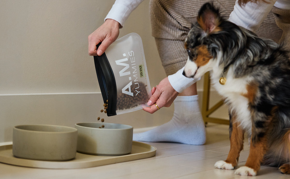 A dog parent pours kibble from a clear ZUXI pouch labeled "A.M. YUMMIES" into a ceramic bowl while a tri-color dog watches beside two matching feeding bowls.